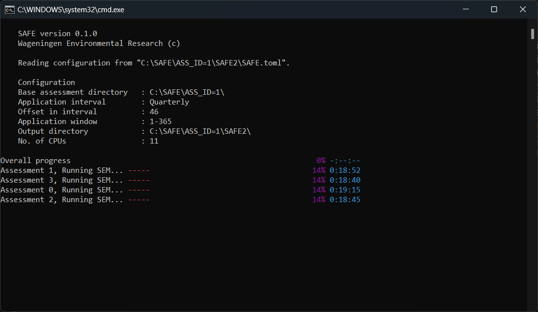 Console window during the run